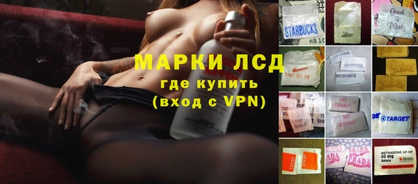 прущие грибы Михайловка