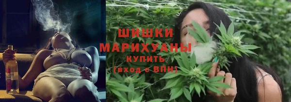 spice Михайлов