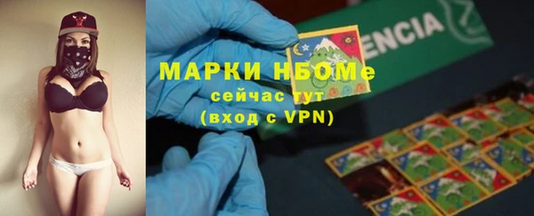 прущие грибы Михайловка