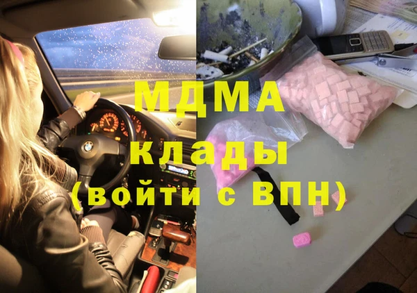 прущие грибы Михайловка