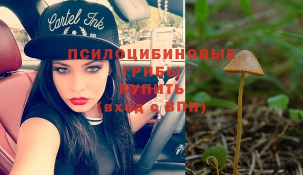 spice Михайлов
