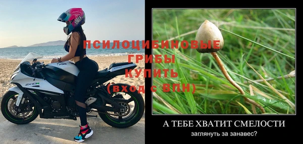spice Михайлов