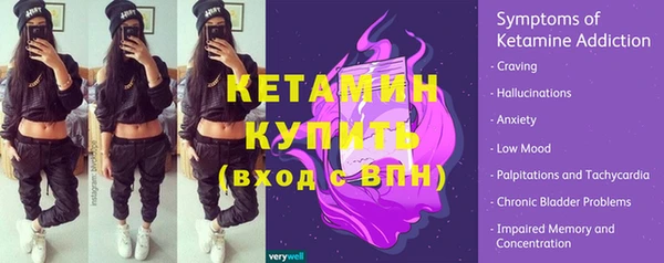 прущие грибы Михайловка