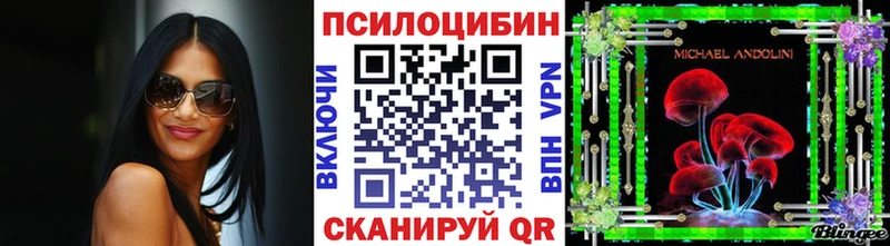 Галлюциногенные грибы Psilocybine cubensis  Чулым 